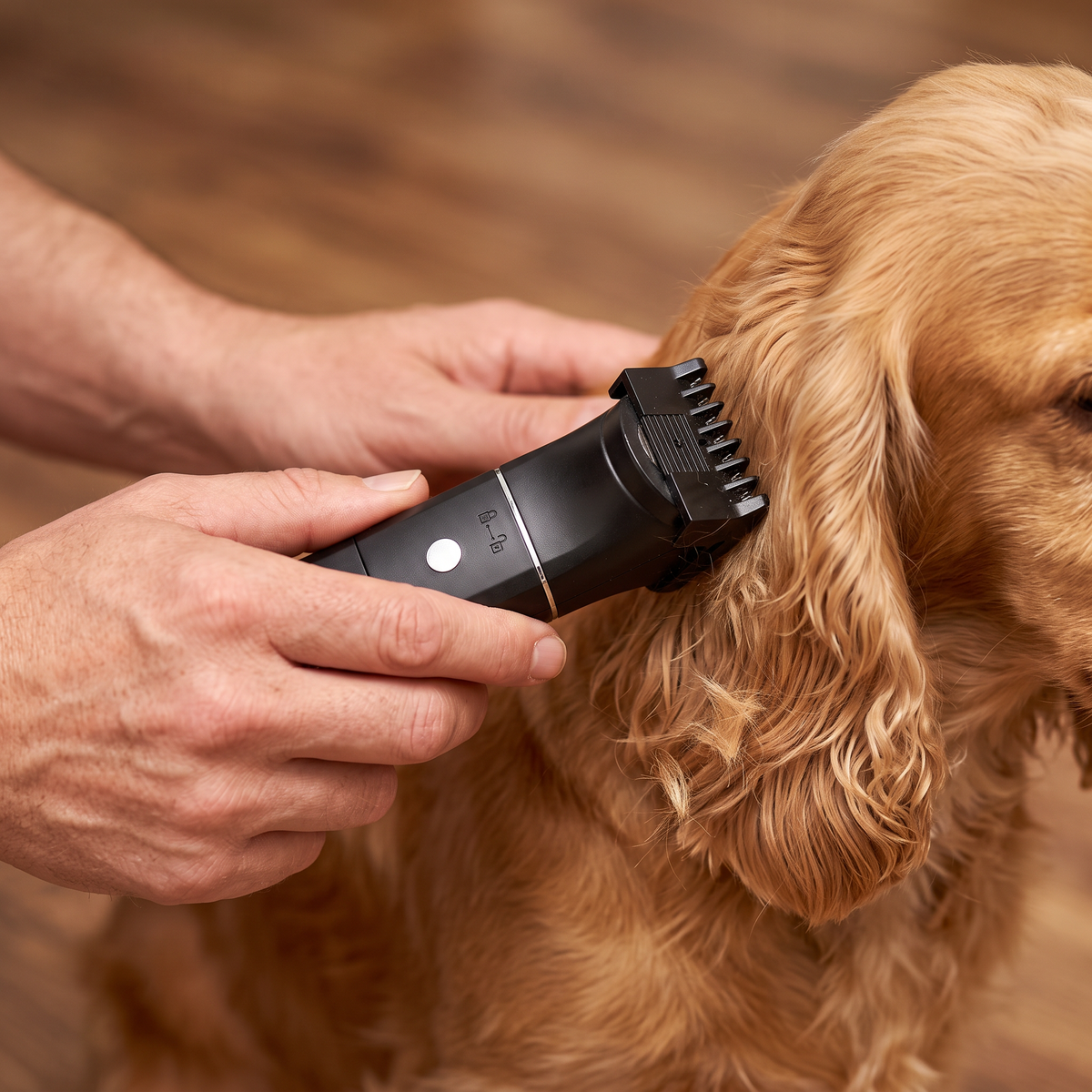 Manos usando la recortadora con peine guía en un perro (imagen ilustrativa)